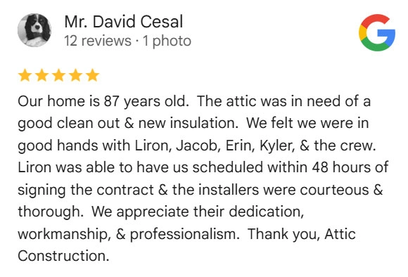 customer google review